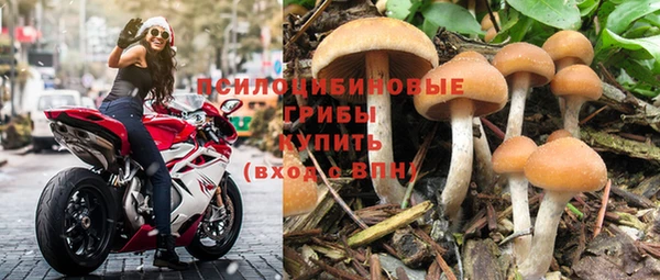 гашик Карталы